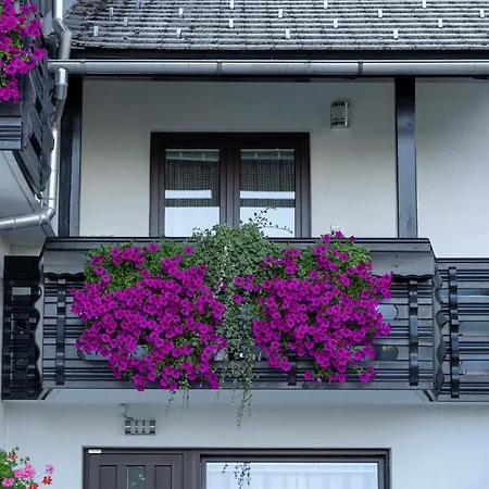 Apartma Vrazic Lejlighed Bled